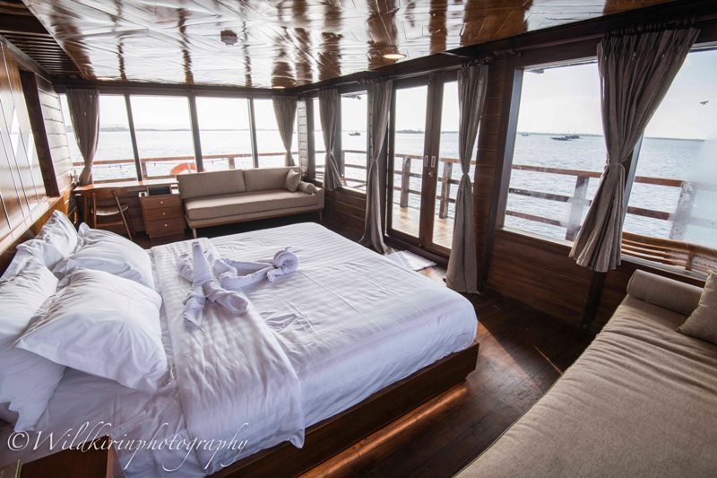 Neomi Cruise – Kapasitas 22 Orang